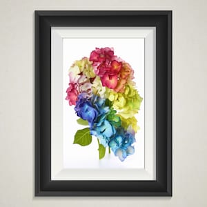 May include: A framed print of a rainbow hydrangea bouquet. The flowers are arranged in a gradient of colors, starting with red and transitioning to blue.