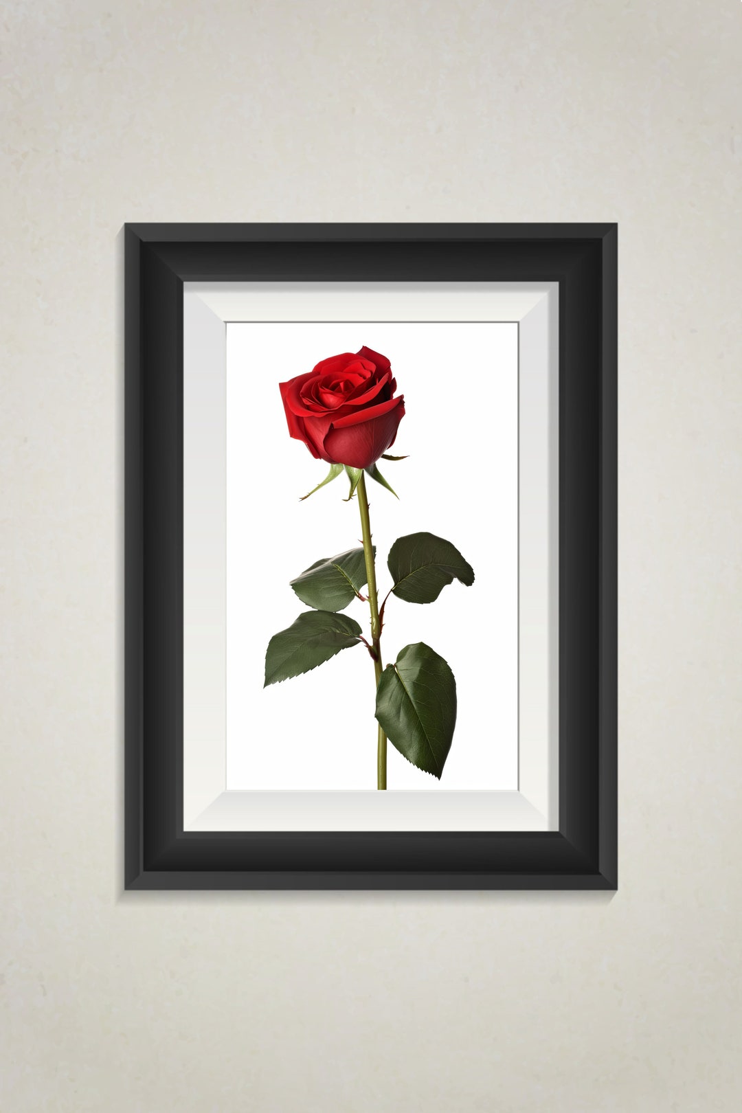 Single Red Rose Wall Art Flowers Home Decor Simple Elegant Nature Photo