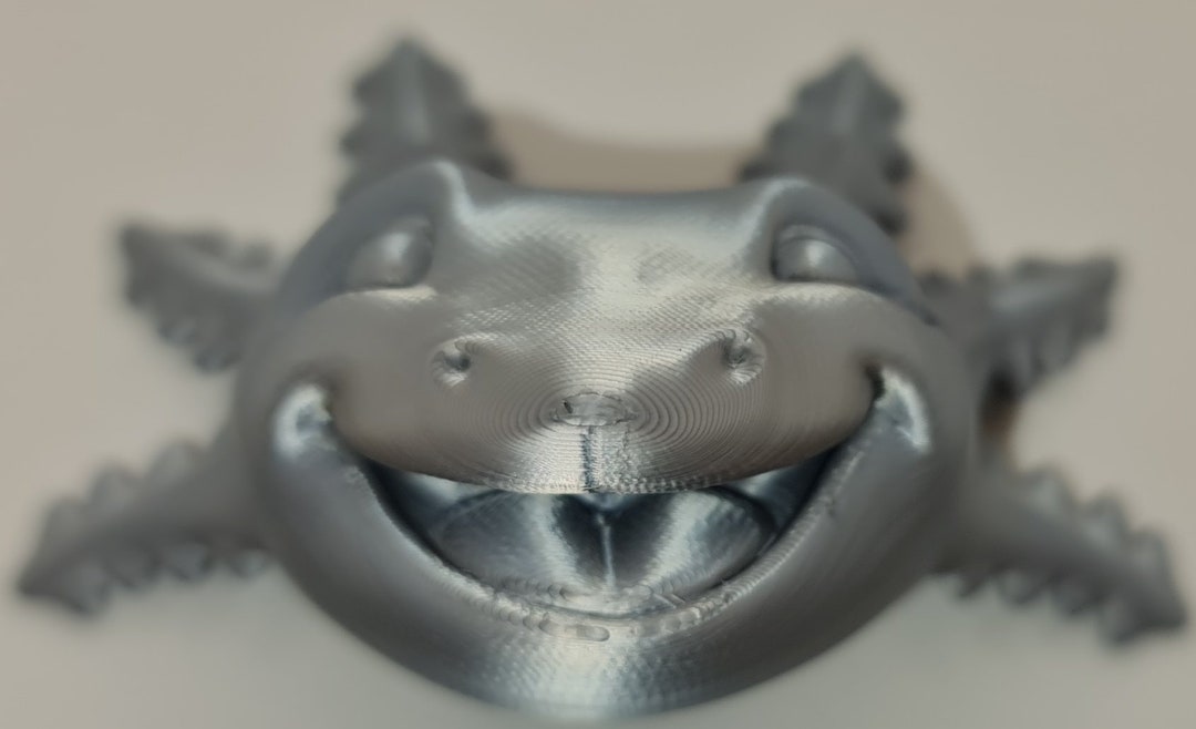 Axolotl Fridge Home Decor. Cute Face to Smile With Etsy