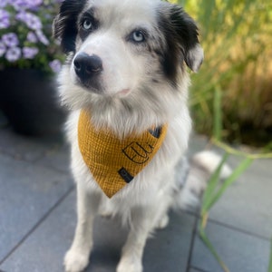Hundehalstuch personalisiert | Musselinhalstuch | Dreieckstuch | Halstuch mit Namen | Hund | Hundegeschenk | Tierliebhaber | Hundeliebe
