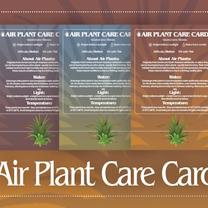 Cartão de cuidados com plantas de ar, etiqueta digital de cuidados com plantas de ar, cartão de cuidados com plantas de casa para impressão, instruções de cuidados com plantas, presente para cuidados com plantas de interior para impressão