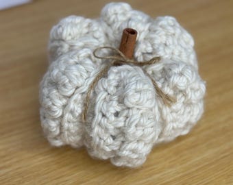 Handmade Crochet Pumpkin, Real Cinnamon Stem, Autumn Decor
