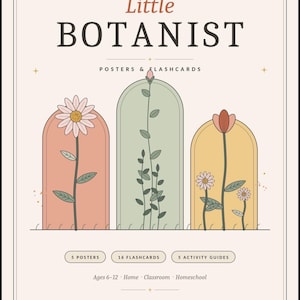 Op de afbeelding: Een Little Botanist educatieve set met posters en flashcards met plantillustraties. De omslag toont drie boogvormige panelen in roze, groen en geel met bloemtekeningen, met de tekst 5 Posters, 16 Flashcards en 5 Activity Guides.
