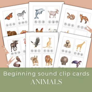 Tarjetas con sonidos para principiantes: temática de animales en acuarela / Conciencia fonémica / Preescolar a segundo grado / Inspirado en Charlotte Mason