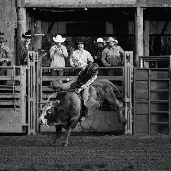 Bull Rider - Etsy