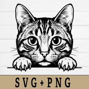 May include: Black and white illustration of a cat's face with large eyes and whiskers. The cat's paws are resting on a horizontal line. The text "SVG + PNG" is at the bottom.