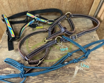 Etiquetas de cabestro personalizadas (o llavero)