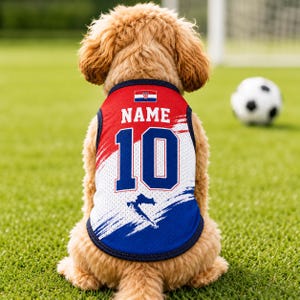 A dog wearing a red, white, and blue jersey with the number 10 sits on a grassy field, with a soccer ball visible in the background.
