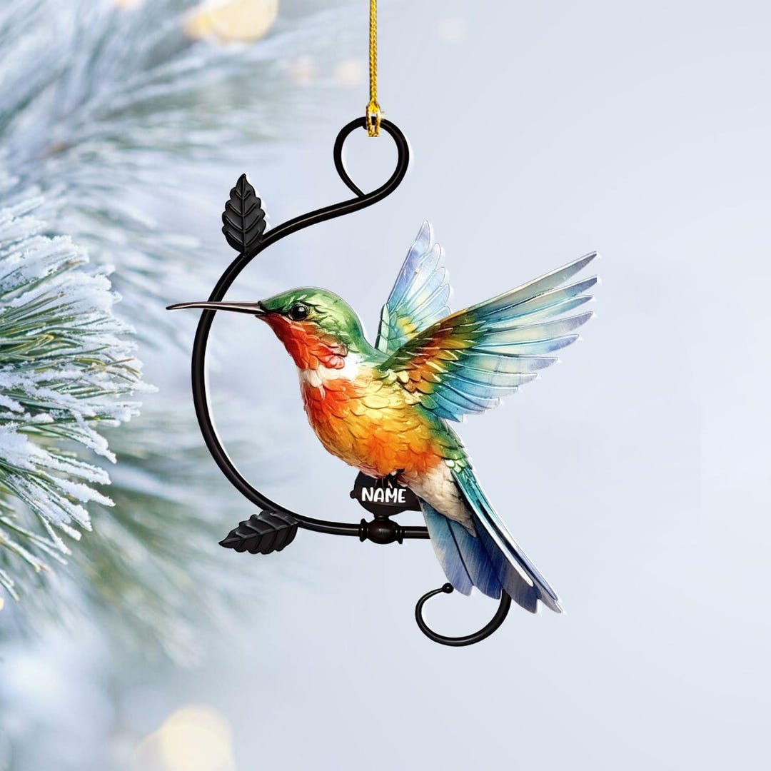 Colorful Hummingbird Acrylic Ornament, Hummingbird Hanging Gift, Bird ...