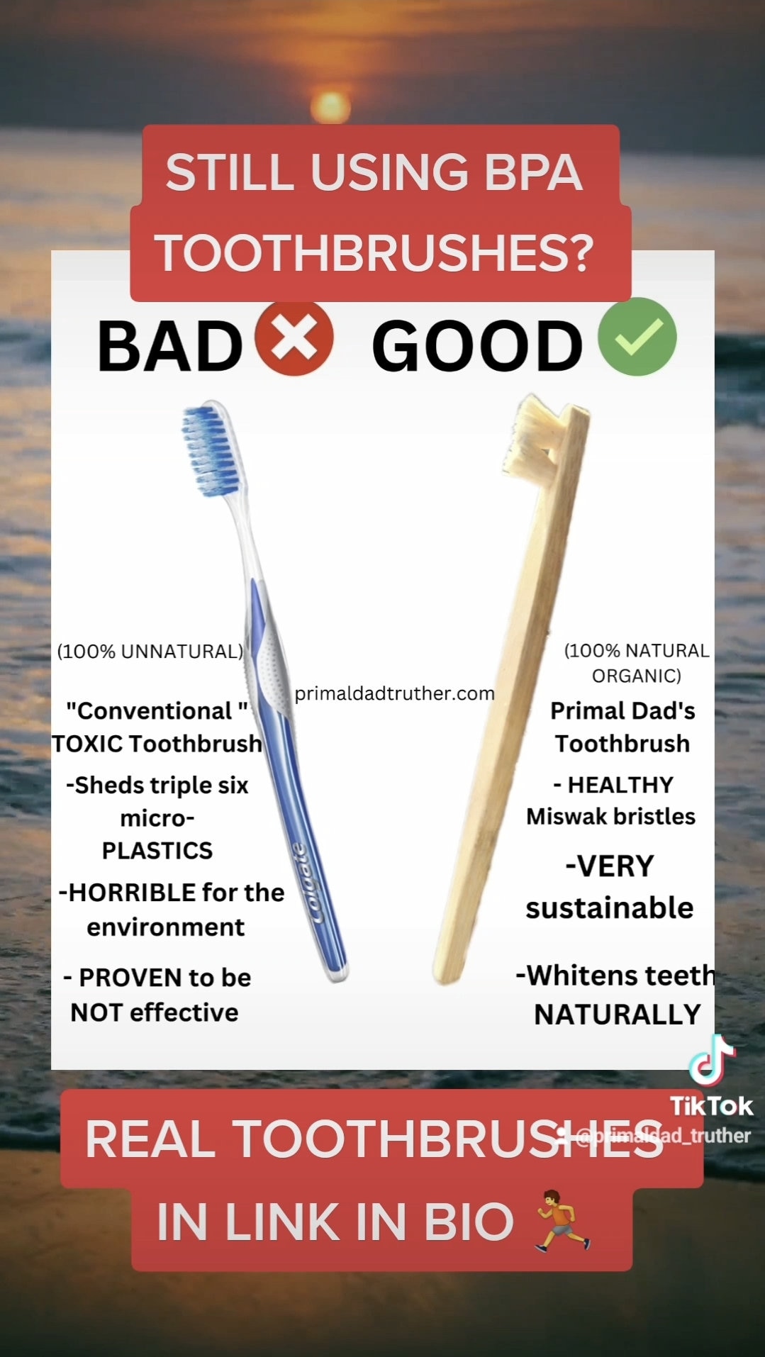 All Natural Toothbrush 3 Pack - Etsy