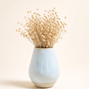 Op de afbeelding: Een lichtblauwe keramische vaas met een beige basis bevat een boeket gedroogde, beige bloemen. De vaas heeft een gladde, glanzende afwerking en een afgeronde vorm, wat een eenvoudige, elegante esthetiek creëert. De bloemen voegen een natuurlijk, gestructureerd element toe.