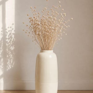 Pode incluir: Um vaso alto de cerâmica creme contém um buquê de flores bege secas. O vaso tem uma forma arredondada com uma base ligeiramente mais larga e um pescoço mais estreito. As flores têm flores delicadas e esféricas. O fundo é uma parede neutra com sombras suaves.