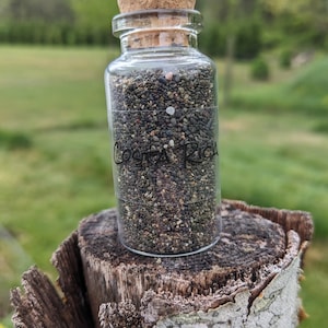 Beach Sand from Costa Rica
