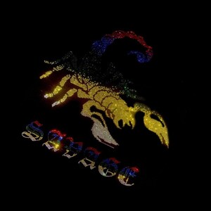 以下が含まれることがあります： カラフルなラインストーンでできたサソリのデザインが施された黒いTシャツ。サソリは黄色、緑、青、赤。サソリの真下にラインストーンで「Savage」と綴られています。