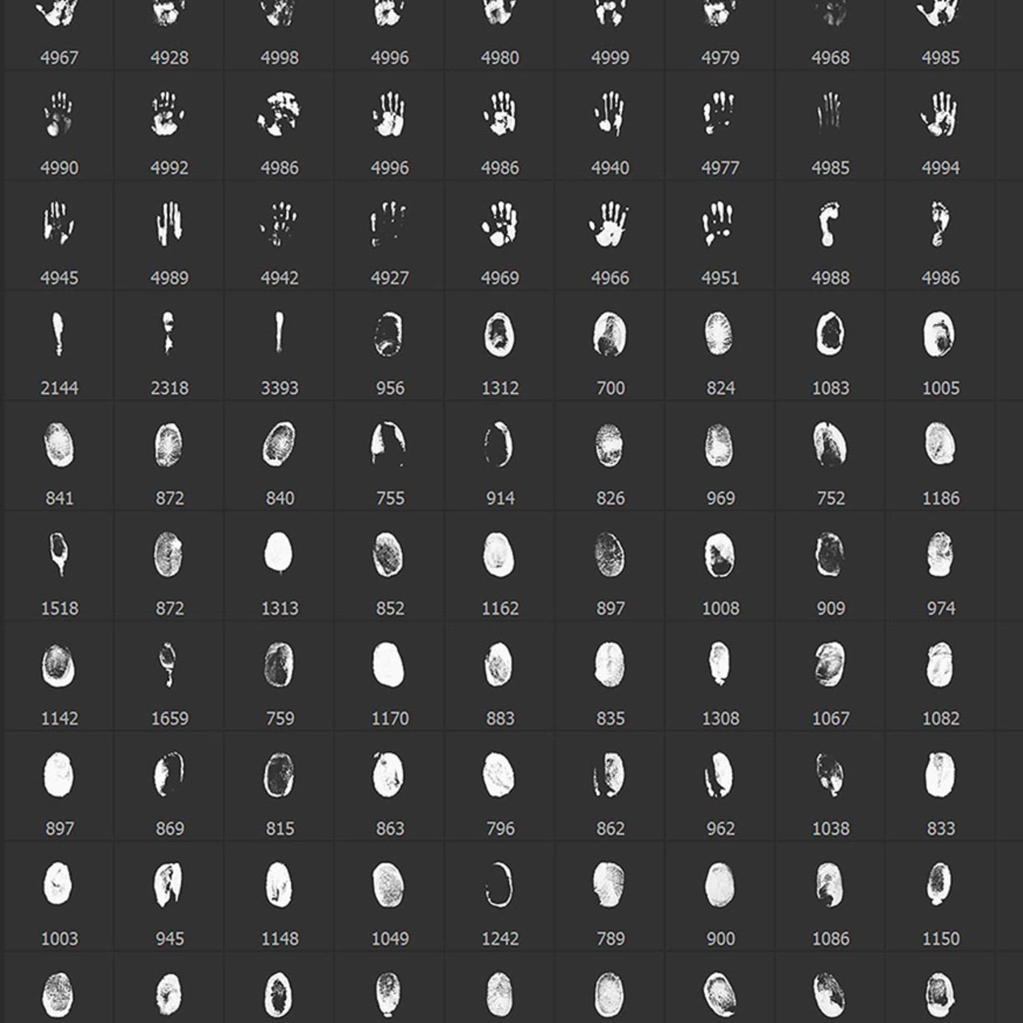 Fingerprint Brushes Brushes 4k Handprint Brushes Fingertip