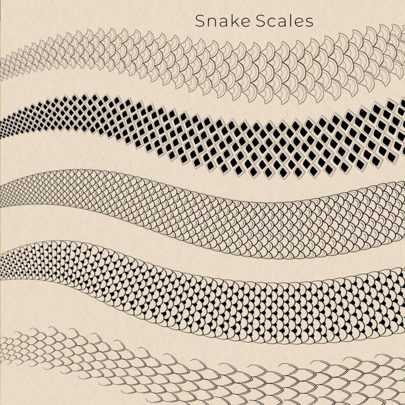 50 Snake Brushes Procreate Snake Scale Brush Set Procreate Snake Body