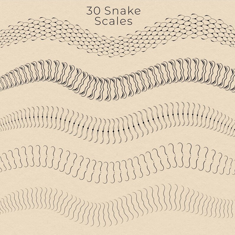 50 Snake Brushes Procreate Snake Scale Brush Set Etsy