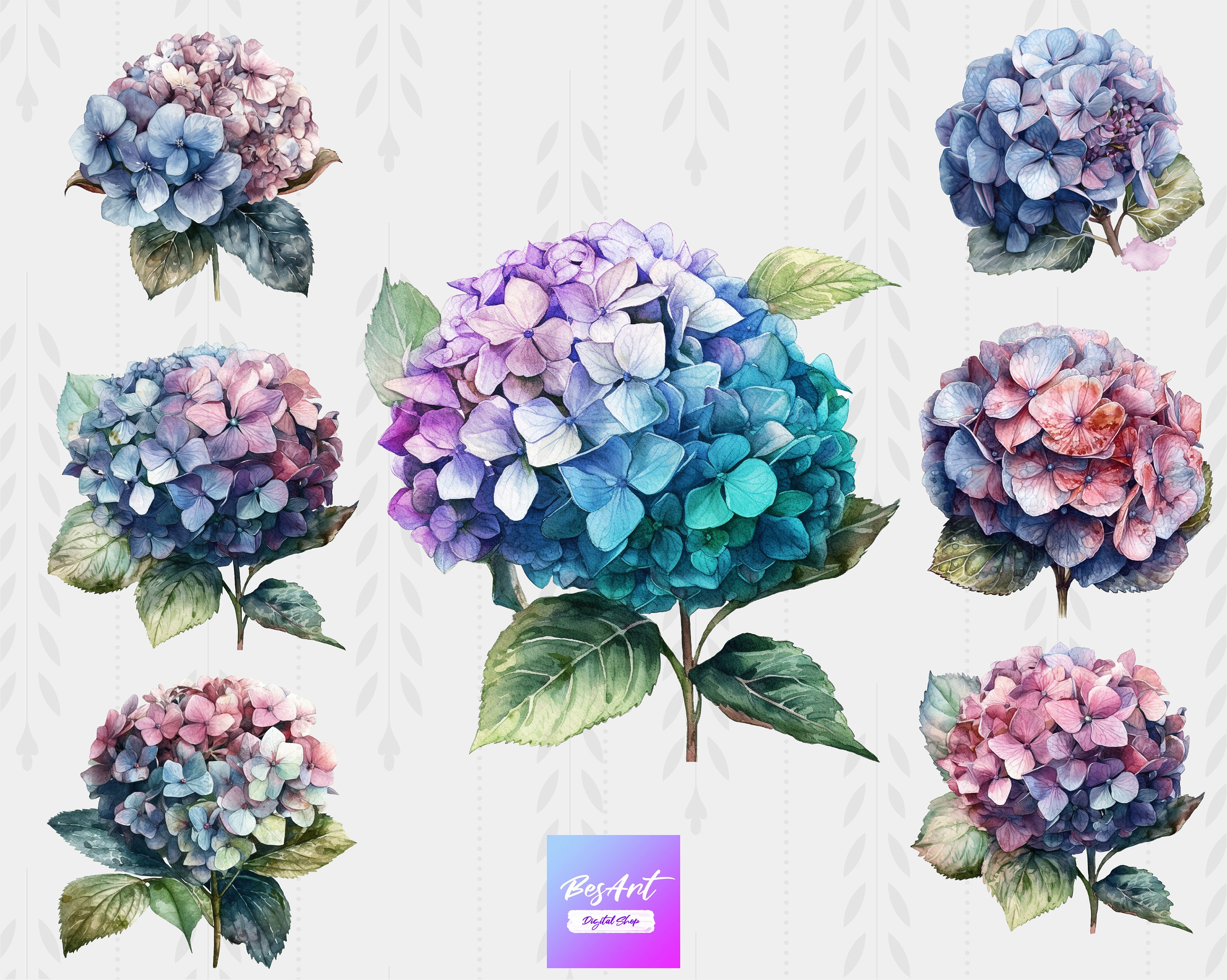 Watercolor Hydrangea Flowers Clipart - Botanical Clip Art Ilustrations ...