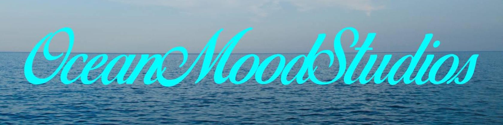 [Smoothmood] / ☆ House Embroidery Tee / 4 colors Designer Tees | MOTHER DENIM