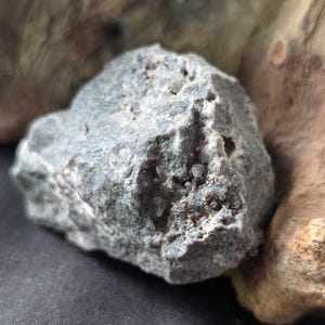 May include: A close-up of a gray rock with small, dark brown specks scattered across its surface.