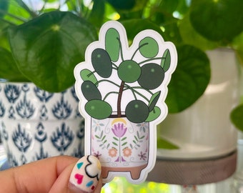 Pilea Peperomioides Potted Plant Sticker | Laminated Sticker | Water Resistant