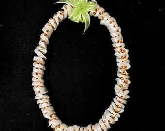 Weiss/Gold Ribbon Lei