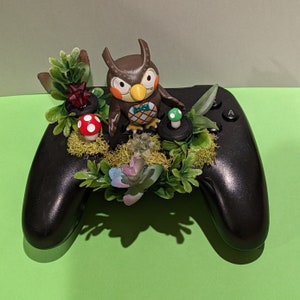 Blathers Terrarium