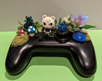 Marshal Terrarium
