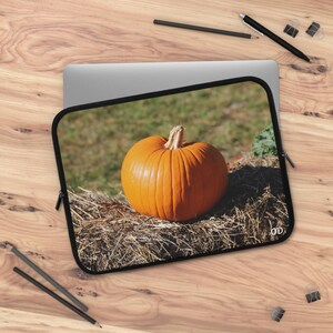 Puede incluir: Una calabaza de color naranja brillante se sienta sobre un lecho de heno seco. La calabaza está en un campo con hierba verde en el fondo.
