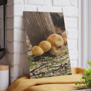 Glass Cutting Board Mushrooms on Tree Log: Original No filter photograph Christmas holiday her him gift-giftful-gifted customiz ed personal