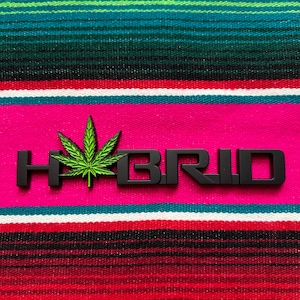 Hybrid Car Emblem (Set of 2)