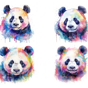May include: Four watercolor paintings of panda bears with colorful splashes of paint. The pandas are all facing forward with their mouths closed and their eyes open. The background is white.