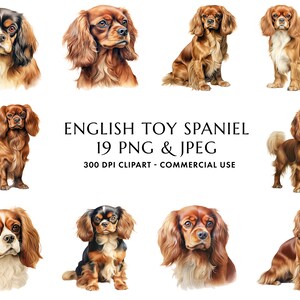 Lot de 19 cliparts épagneul anglais aquarelle haute qualité PNG & JPEG, cadeau pour chien maman et papa, création numérique, téléchargement numérique