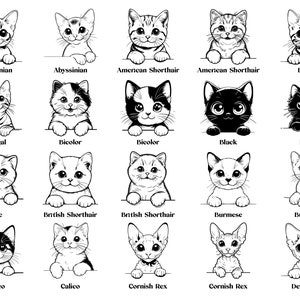 May include: A digital illustration of 20 different cat breeds, each with a unique facial expression and pose. The breeds include Abyssinian, Bengal, Bicolor, Black, Blue, British Shorthair, Burmese, Calico, Cornish Rex, and Devon Rex.