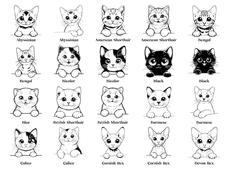 May include: A digital illustration of 20 different cat breeds, each with a unique facial expression and pose. The breeds include Abyssinian, Bengal, Bicolor, Black, Blue, British Shorthair, Burmese, Calico, Cornish Rex, and Devon Rex.