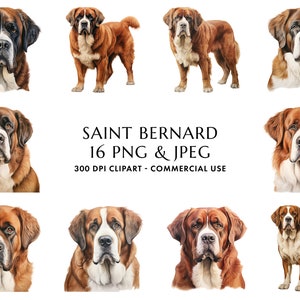 Watercolor Saint Bernard Clipart Bundle 16 High Quality PNG & JPEG, Gift for Dog Mom and Dad, Digital Crafting, Digital Download