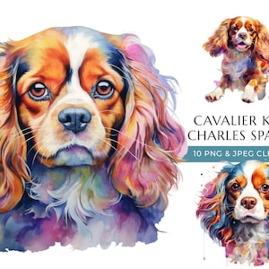 Cavalier King Charles Spaniel Dog Clipart - 10 High Quality PNGs & JPEG - Colorful Watercolor Dog - Digital Crafting - Digital Download