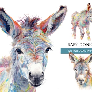 Baby Donkey Watercolor Clipart 12 PNGs, Nursery Decor, Farm Wall Art, Printable Art, Animal Clip Art, Farm Theme , Instant Digital Download