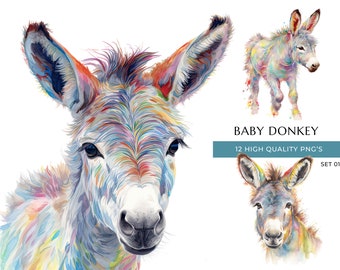 Baby Donkey Watercolor Clipart: Farm Nursery Art (Digital Download)