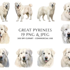 Aquarell Große Pyrenäen Clipart Bundle 19 Hochwertige PNG & JPEG, Geschenk für Hund Mama und Papa, digitales Basteln, digitaler Download