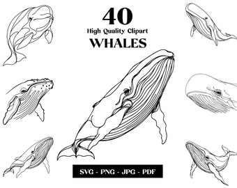 クジラのSVGクリップアート：ミニマリストラインアート、タトゥーデザイン（デジタルダウンロード）