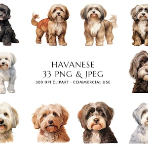 Aquarell Havaneser Clipart Bundle 33 hochwertige PNG & JPEG, Geschenk für Hundemama und -papa, digitales Basteln, digitaler Download