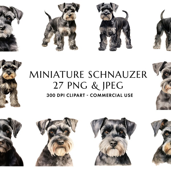 Watercolor Miniature Schnauzer Clipart Bundle 27 High Quality PNG & JPEG, Gift for Dog Mom and Dad, Digital Crafting, Digital Download