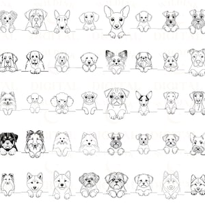 May include: Black and white line drawings of various dog breeds, each looking over a surface, with their paws resting on the surface. The dogs are all facing forward and have a variety of expressions.