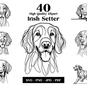Irish Setter SVG & PNG Clipart Bundle: Digitale Linie Kunst, minimalistische Vektorhund Zeichnung für Sublimation, Hundeliebhaber, Welpe digitaler Download