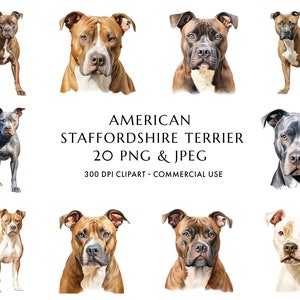 Aquarell American Staffordshire Terrier Clipart Bundle 20 hochwertige PNG & JPEG, Geschenk für Hund Mama und Papa, digitaler Download
