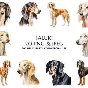 Aquarell Saluki Clipart Bundle 20 hochwertige PNG & JPEG, Geschenk für Hundemama und -papa, digitales Basteln, digitaler Download
