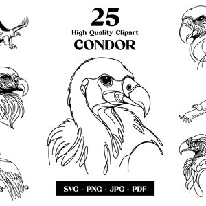 Condor SVG Clipart, Minimalist Line Art, Logo Animal Vector, Modern Art, Tattoo & Sublimation Design, Embroidery, Digital Download