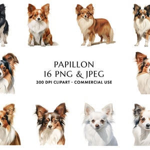 Paquete de imágenes prediseñadas de Papillon de acuarela 16 PNG y JPEG de alta calidad, regalo para mamá y papá de perro, elaboración digital, descarga digital