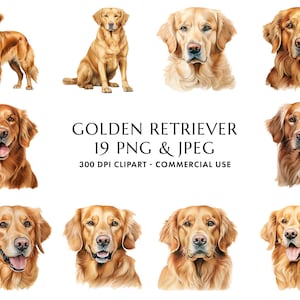 Aquarell Golden Retriever Clipart Bundle 19 Hochwertige PNG & JPEG, Geschenk für Hund Mama und Papa, digitales Basteln, digitaler Download